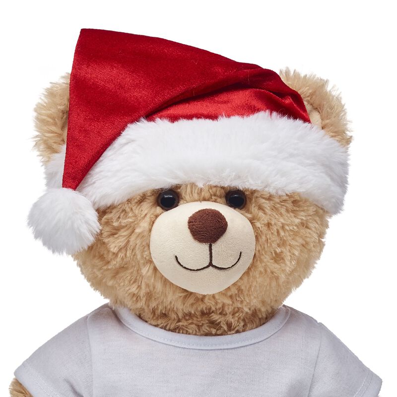 Red Santa Hat